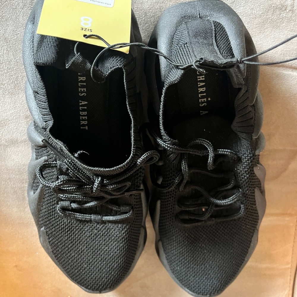 Charles Albert Classic Black Shoes